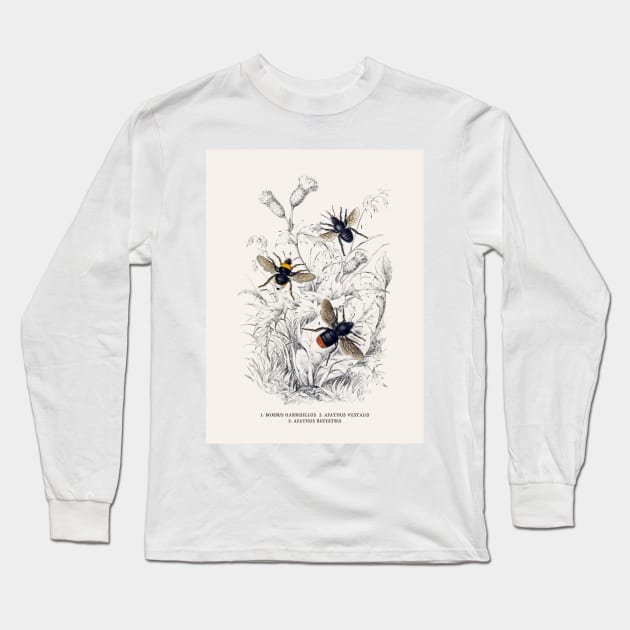 Bees Antique Naturalist Illustration Long Sleeve T-Shirt by Antiquated Art